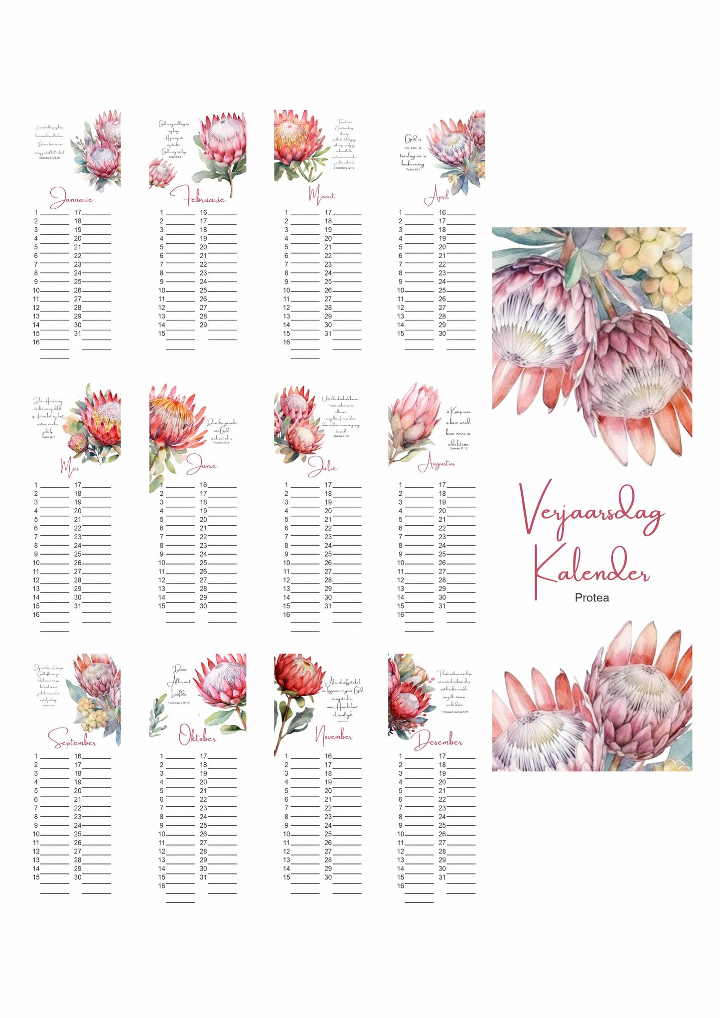 Protea Birthday Calendar
