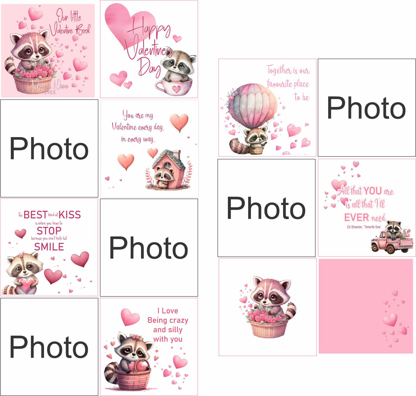 Valentine Combo Raccoon