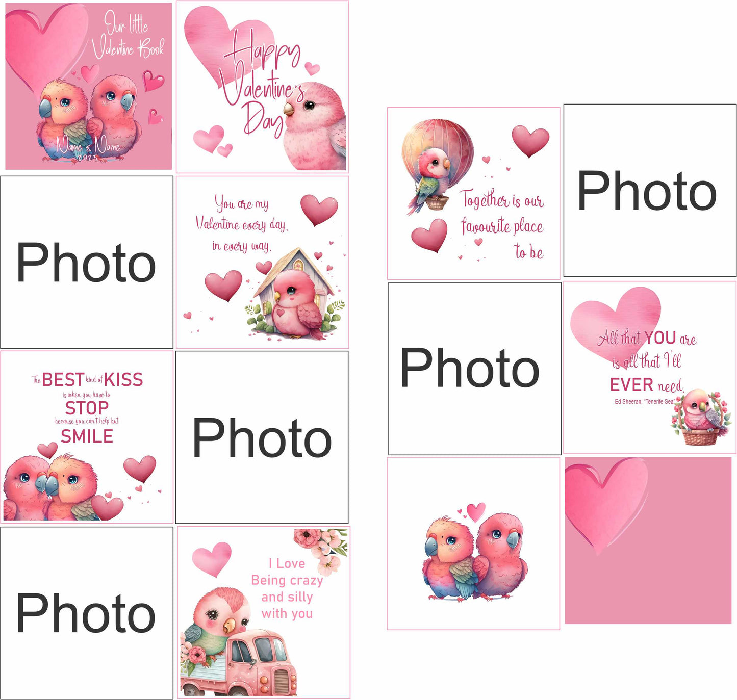 Valentine Combo Parrot