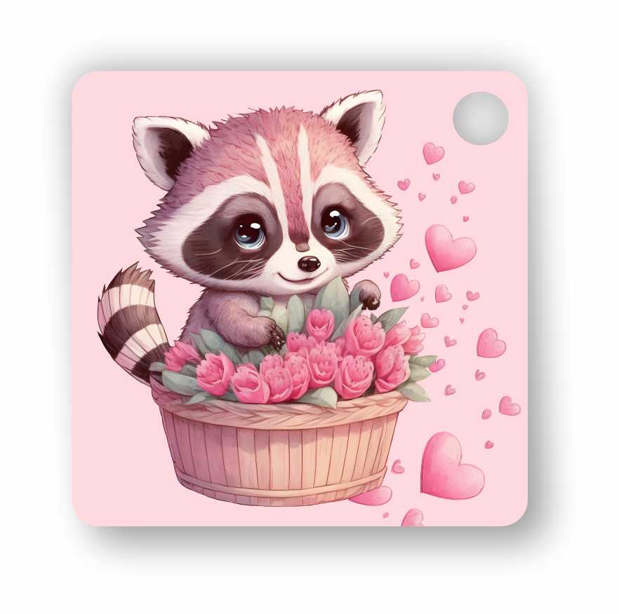 Valentine Combo Raccoon