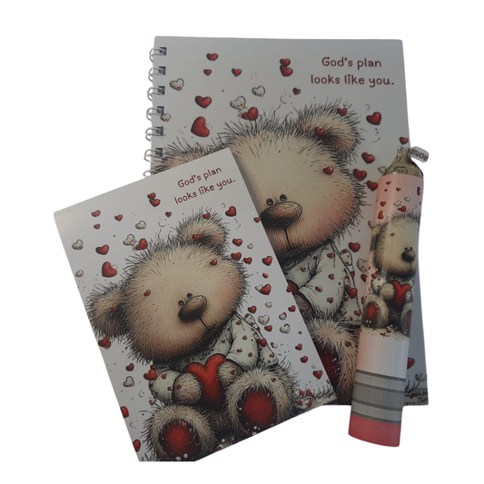 Valentine Teddy combo